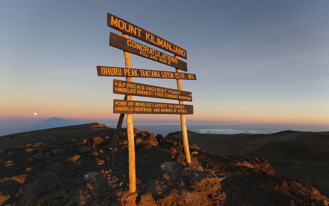 Keep up to date with our trek!