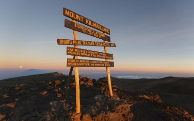 Keep up to date with our trek!